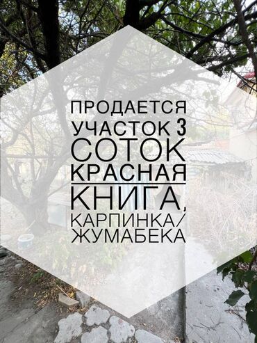 раздолный участок: 3 соток, Бизнес үчүн, Кызыл китеп, Техпаспорт