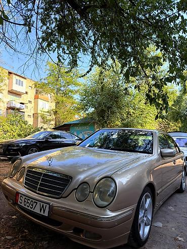 e klass: Mercedes-Benz E-Class: 1999 г., 4.3 л, Автомат, Бензин, Седан — 1