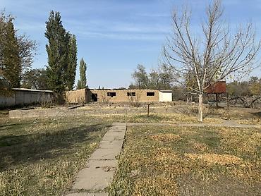 алтын казык ж м: 36 соток, Для бизнеса, Красная книга, Тех паспорт — 6