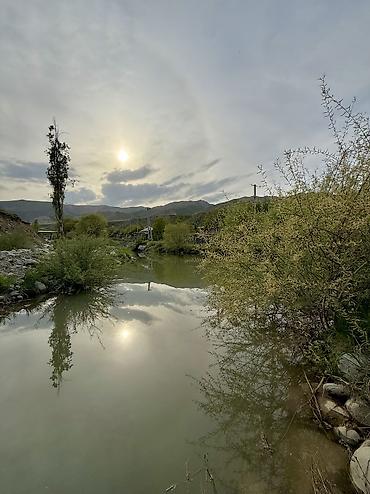 Продажа дач: Продаётся дача рядом с селом Горная Маевка(дачи Норус) площадь участка — 9