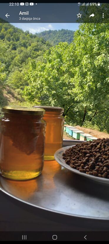Bal: Arının bütün məhsulları Satışdadı — 10
