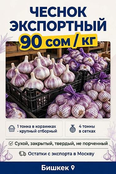 Чеснок Оптом, Самовывоз