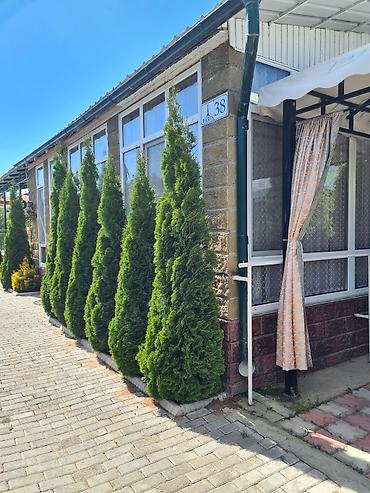 Иссык-Куль 2026: Коттедж, Париж2 Чок-Тал, Детская площадка, Парковка, стоянка, Охраняемая территория — 21