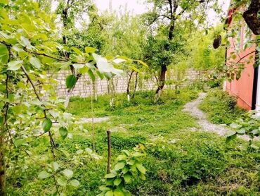 Günlük kirayə evlər: 90 kv. m, 3 otaqlı, Qaz, İşıq, Su — 23