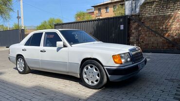 Mercedes-Benz: Mercedes-Benz W124: 1991 г., 2 л, Механика, Бензин, Седан