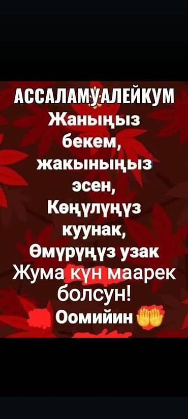 Коровы, быки: Продаю | Бык (самец) | Полукровка | На откорм — 2