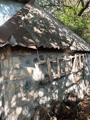 Həyət evləri və villaların satışı: Torpaq bağ sahəsi 42 sot meyvə baği satıram -da lalafo.az — 7 Həyət evləri və villaların satışı: Torpaq bağ sahəsi 42 sot meyvə baği satıram — 7