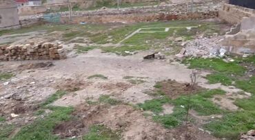 Torpaq sahələrinin satışı: 3 sot, Mülkiyyətçi, Kupça (Çıxarış) — 18