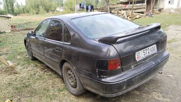 москвич автомобиль: Honda Accord: 1993 г., 2 л, Механика, Бензин, Седан