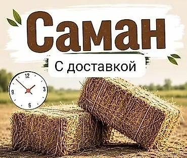 сливы кыргызки: Саман с доставкой. 🌾 Саман чөп сатылат! 🌾 ✅ Жогорку сапаттагы саман — 1