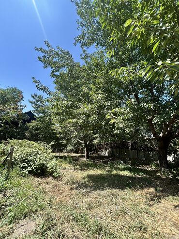 Продажа домов: Дом, 1 м², 7 комнат, Собственник, ПСО (под самоотделку) at lalafo.kg — 5 Продажа домов: Дом, 1 м², 7 комнат, Собственник, ПСО (под самоотделку) — 5