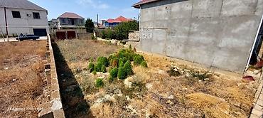 Daşınmaz əmlak: 300 sot, Mülkiyyətçi, Kupça (Çıxarış) — 3