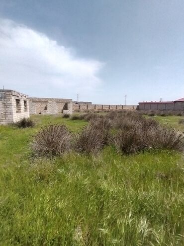 Torpaq sahələrinin satışı: 30 sot, Makler, Kupça (Çıxarış)