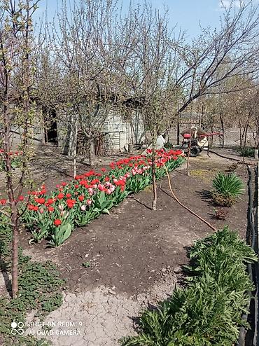 Продажа коттеджей и домов: Продаётся дом, 80 кв. м. 6 комнат, кирпичный, тёплый. Хозпостройки — 20