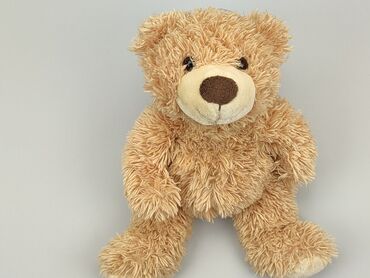 koszulki z misiem: Mascot Teddy bear, condition - Good