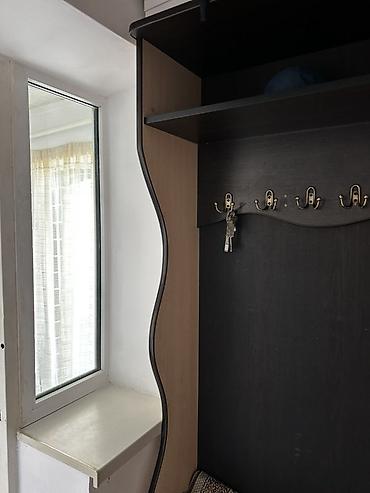 хола: Прихожая с зеркальным шкафом и открытой вешалкой - Компоновка: слева — 3