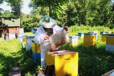Молочные продукты и яйца: Hamıya salam! Biz 30 ildən artıqdır Rusiyada yaşayan azərbaycanlıyıq
