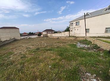 goredil: 15 sot, Biznes üçün, Mülkiyyətçi, Kupça (Çıxarış) — 3