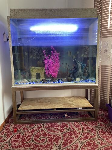 светильники для спальни: Срочно продаю аквариум🐟 500 литров В комплекте идет