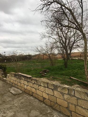 20 ci sahede satiliq ucuz evler: 6 sot, Kənd təsərrüfatı, Mülkiyyətçi, Kupça (Çıxarış) — 2