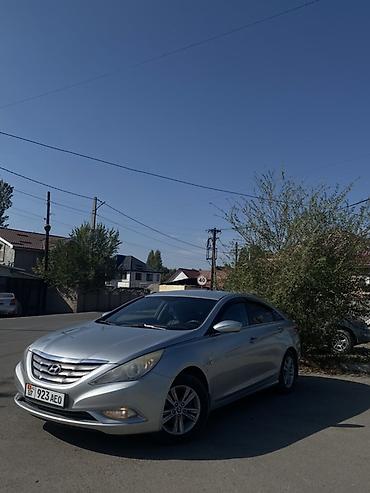 Hyundai Sonata: 2010 г., 2 л, Автомат, Бензин, Седан