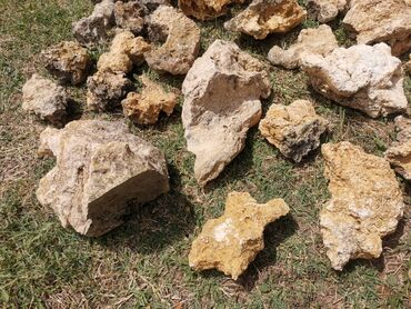 kineske motorne testere cene: Novo