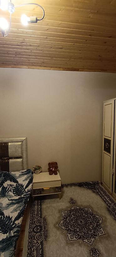 Günlük kirayə evlər: 90 kv. m, 3 otaqlı, Su — 7