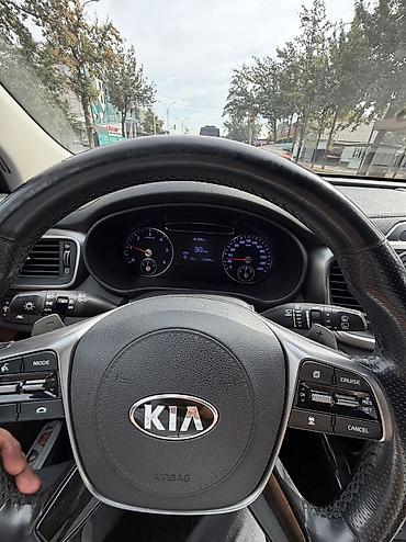 111: Kia Sorento: 2019 г., 2 л, Автомат, Дизель, Кроссовер — 10