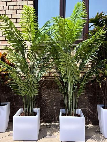 Декоративные цветы: 🌿✨ Mayram Decor.kg – искусственные деревья и цветы в Бишкеке ✨🌿 — 17