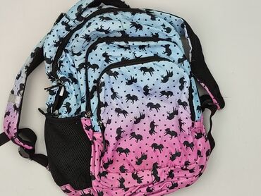 Backpack, condition - Very good