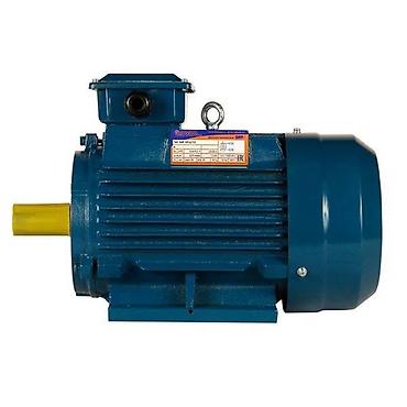 s1: Электродвигатель 5АИ (АИР) 100 L2 (5.5 кВт / 3000 об/мин) Нас ищут по — 2