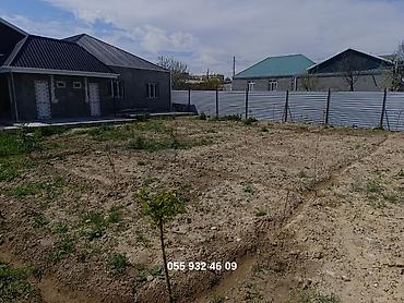 zeytunluqda torpaq satilir: 9 otaq, 260 kv. m, Kredit yoxdur, Orta təmir — 7