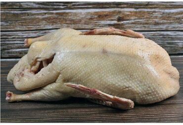 сосиска цена бишкек: Утка 