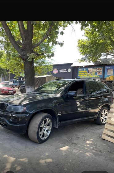 продаю в связи с переездом: BMW X5: 2003 г., 3 л, Типтроник, Дизель, Внедорожник