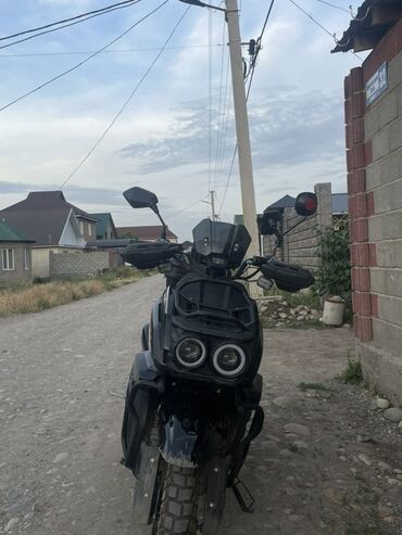 мопеды муравей: Скутер ТАНК 180 В хорошем состоянии Пробег 450км Вложений никаких