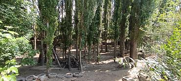 Продажа домов: Дом, 3500 м², 12 комнат, Старый ремонт — 23