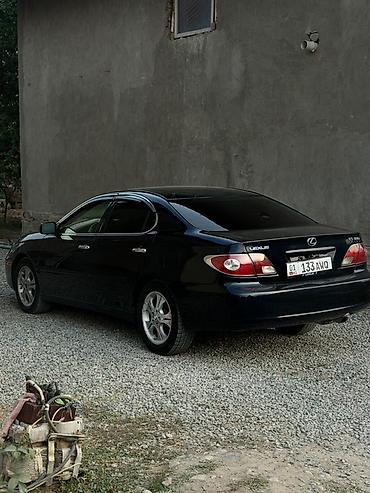 таёта эхо: Lexus ES: 2004 г., 3.3 л, Автомат, Газ, Седан — 10