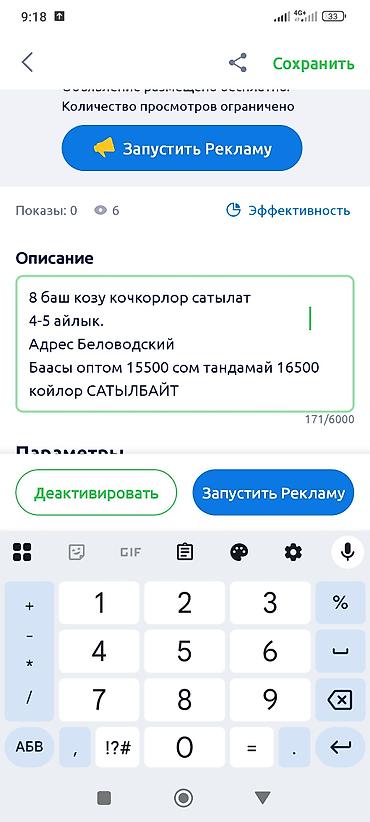 утки жирные: Продаю | Овца (самка) | Для разведения | Матка — 8