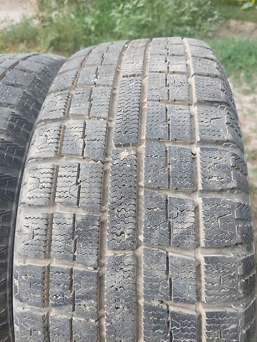 lining pantera: Комплект зимних шин Toyo Observe Garit G5. - Размер: 205/60 R16 92Q — 8