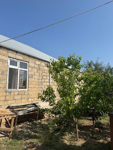 gence gulustan: 5 otaqlı, Yeni tikili, 50 kv. m