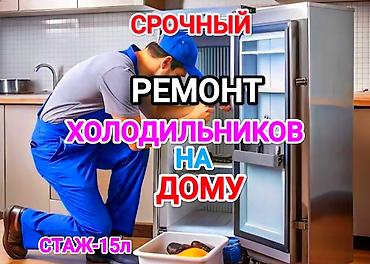 Ремонт холодильников, морозильников: Срочный ремонт холодильников на дому. Обслуживание и диагностика всех — 1