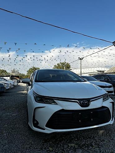 corolla runx: Toyota Corolla: 2019 г., 1.8 л, Автомат, Гибрид, Седан — 6
