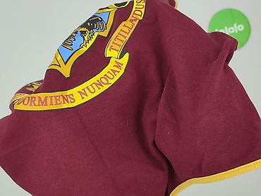 sweter harry potter: Harry Potter, Body damskie, rozmiar M — 5