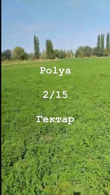 дом кенбулун: Айыл чарба үчүн