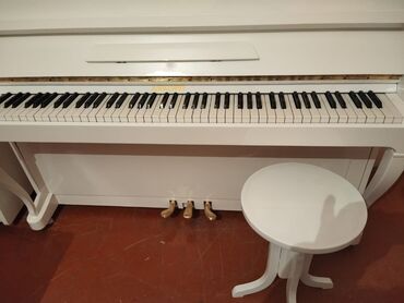 pianino satışı: Piano, Akkord, Akustik, İşlənmiş, Ödənişli çatdırılma