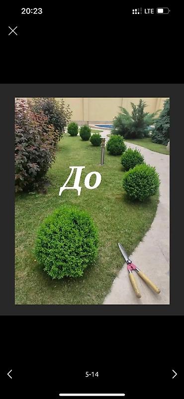Дворники, садовники: 🌱Я Садовник приходящий раз в неделю Стрижка живой — 5
