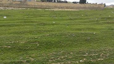 Torpaq sahələrinin satışı: Tikinti — 3