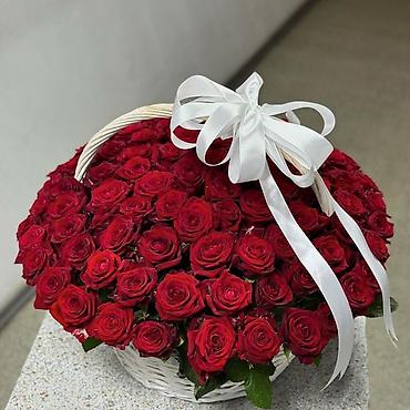 Другие комнатные растения: 🌿 Зелёное счастье для вашего дома 🌿 Комнатные растения и свежие цветы — 18