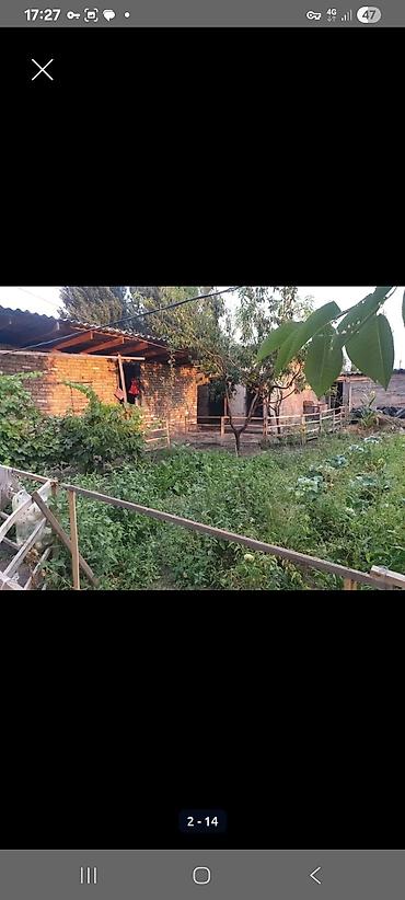 Продажа коттеджей и домов: Продаётся жилой дом с приусадебным участком. Основные характеристики — 3