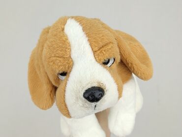 Mascot Dog, condition - Perfect